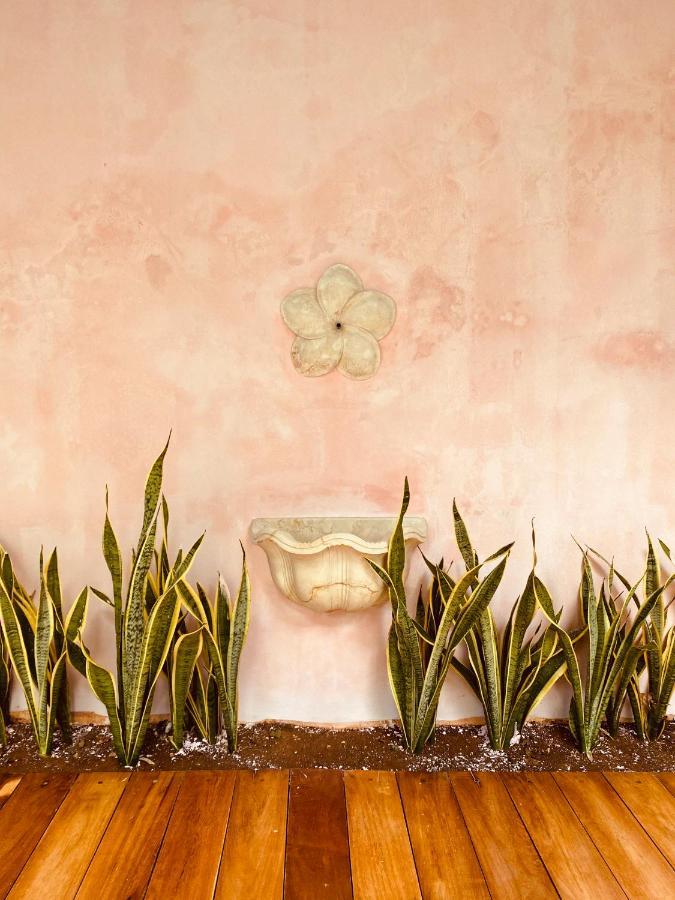 Casa Nicte, Hospedate En Una Casa Del Siglo XVIII Campeche Bagian luar foto